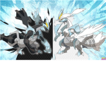 POKEMON POKEMON