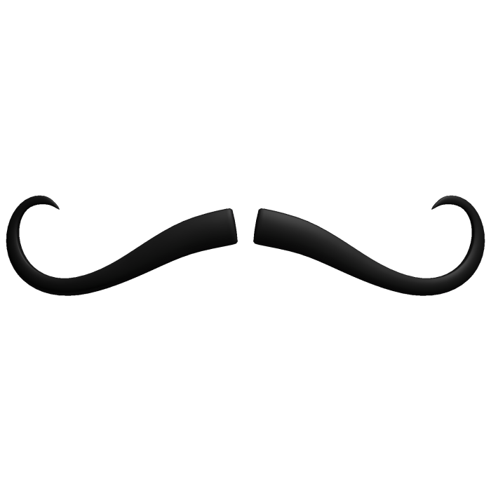 Black Thin Small Mustache Cute Fancy Moustache