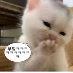 그룹 :3
