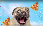 i Love pugs 123