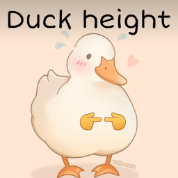 Duck height