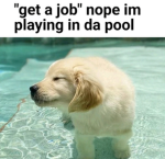 Carmonieplayz