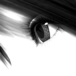 feel for me