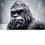 Bigfoot Fans and Hunters