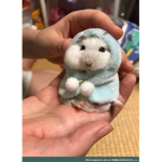Hamster besties