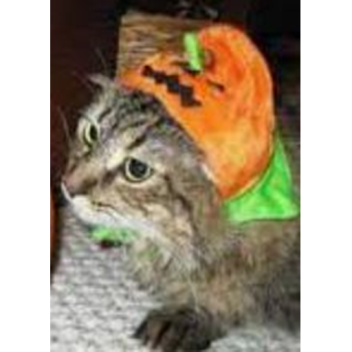 haunted mansion hangout