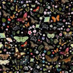 <3 Butterfliesss <3