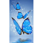 Offical butterfly’s
