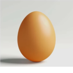 고양이들의 세상