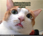 epicLOLz