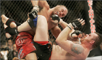 The Ultimate Fighters