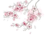 {~Blooming blossoms~}