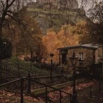 ⋆｡°✩🍂✩°｡⋆