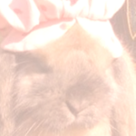 FindYourInnerKawaiiPotato