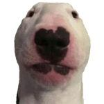 Woozy Memes