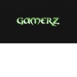 TEAM GAMERZ