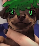 My Hero Academia:fans