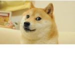 D-A || Doge Army