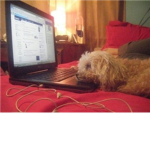 doggy nerds =D