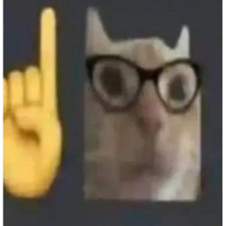 stan 40%