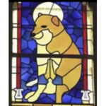 Holy doggo land