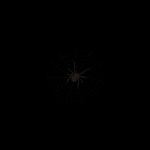9TS Web