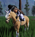 THE HORSE TEAM!