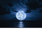 The midnight howls