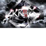 skrillex group of the united