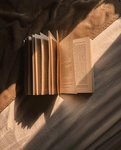 Shhh…we’re reading