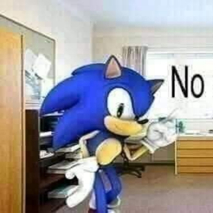 Sonic Saying No Roblox decal