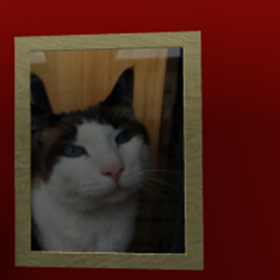 Cat Image Furniture icon