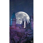 HeyYoHarryPotterCheck