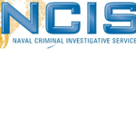 The NCIS group