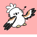 Birb's commissions
