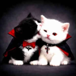 Vamp!.