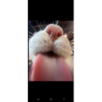 Not yët