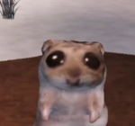 Hamster studios :3