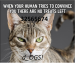 d_OGS!