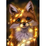 Xx Foxy xX