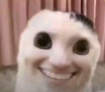 .* n0 '