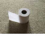 Toilet Paper