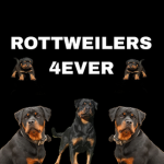 ROTTWEILERS 4EVER