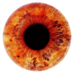 The EYES Cult