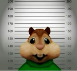 unbeatablegalaxydestroyer