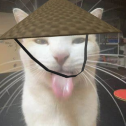 Vietnamese cat icon