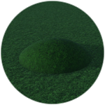 you touched the grass!