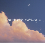 || aesthetic clothings ||
