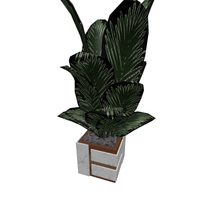 Modern Plant For Decoration
