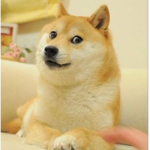 Buff Doge Gamers